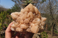 Natural Pineapple Candle Quartz Clusters x 3 From Antsirabe, Madagascar - Toprock Gemstones and Minerals 