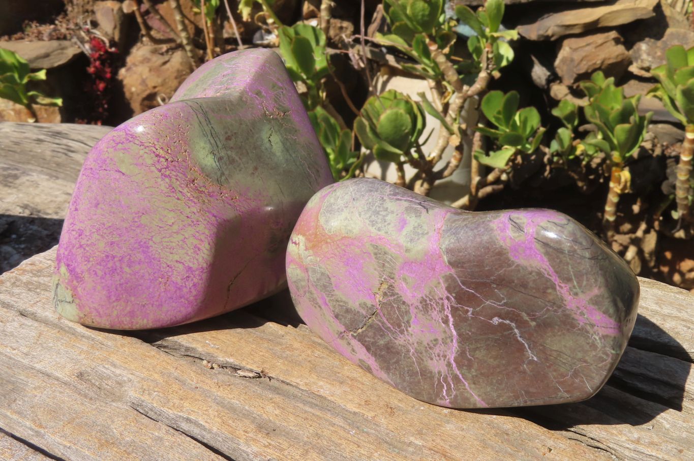 Polished Stichtite Standing Free Forms x 2 From Barberton, South Africa - Toprock Gemstones and Minerals 
