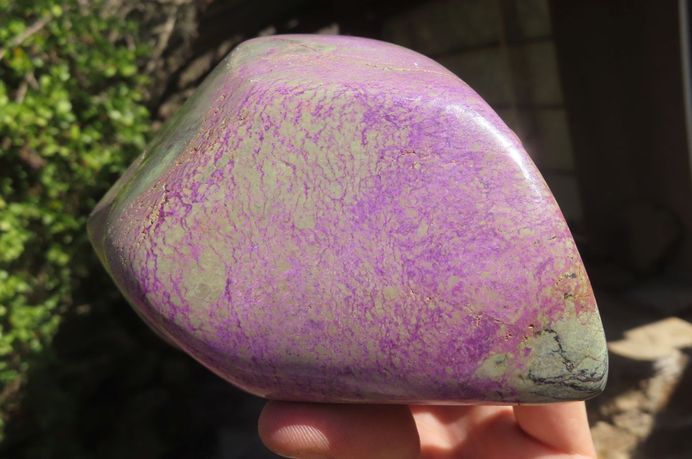 Polished Stichtite Standing Free Forms x 2 From Barberton, South Africa - Toprock Gemstones and Minerals 