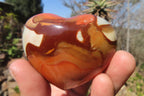 Polished Polychrome Jasper Gemstone Hearts x 6 From Madagascar - Toprock Gemstones and Minerals 