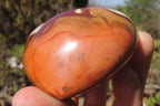 Polished Polychrome Jasper Gemstone Hearts x 6 From Madagascar - Toprock Gemstones and Minerals 