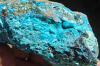 Natural Silica Chrysocolla Specimens x 3 From Kulukuluku, Congo - Toprock Gemstones and Minerals 