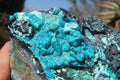 Natural Silica Chrysocolla Specimens x 3 From Kulukuluku, Congo - Toprock Gemstones and Minerals 