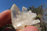 Natural Clear Quartz Clusters x 35 From Anzojorabe, Madagascar - Toprock Gemstones and Minerals 