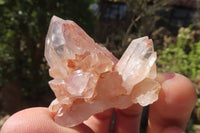 Natural Clear Quartz Clusters x 35 From Anzojorabe, Madagascar - Toprock Gemstones and Minerals 