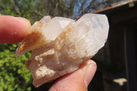 Natural Clear Quartz Clusters x 35 From Anzojorabe, Madagascar - Toprock Gemstones and Minerals 