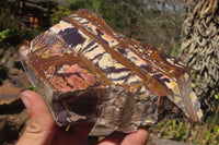Polished On One Side Nguni Jasper Specimens x 2 From Prieska, South Africa - Toprock Gemstones and Minerals 