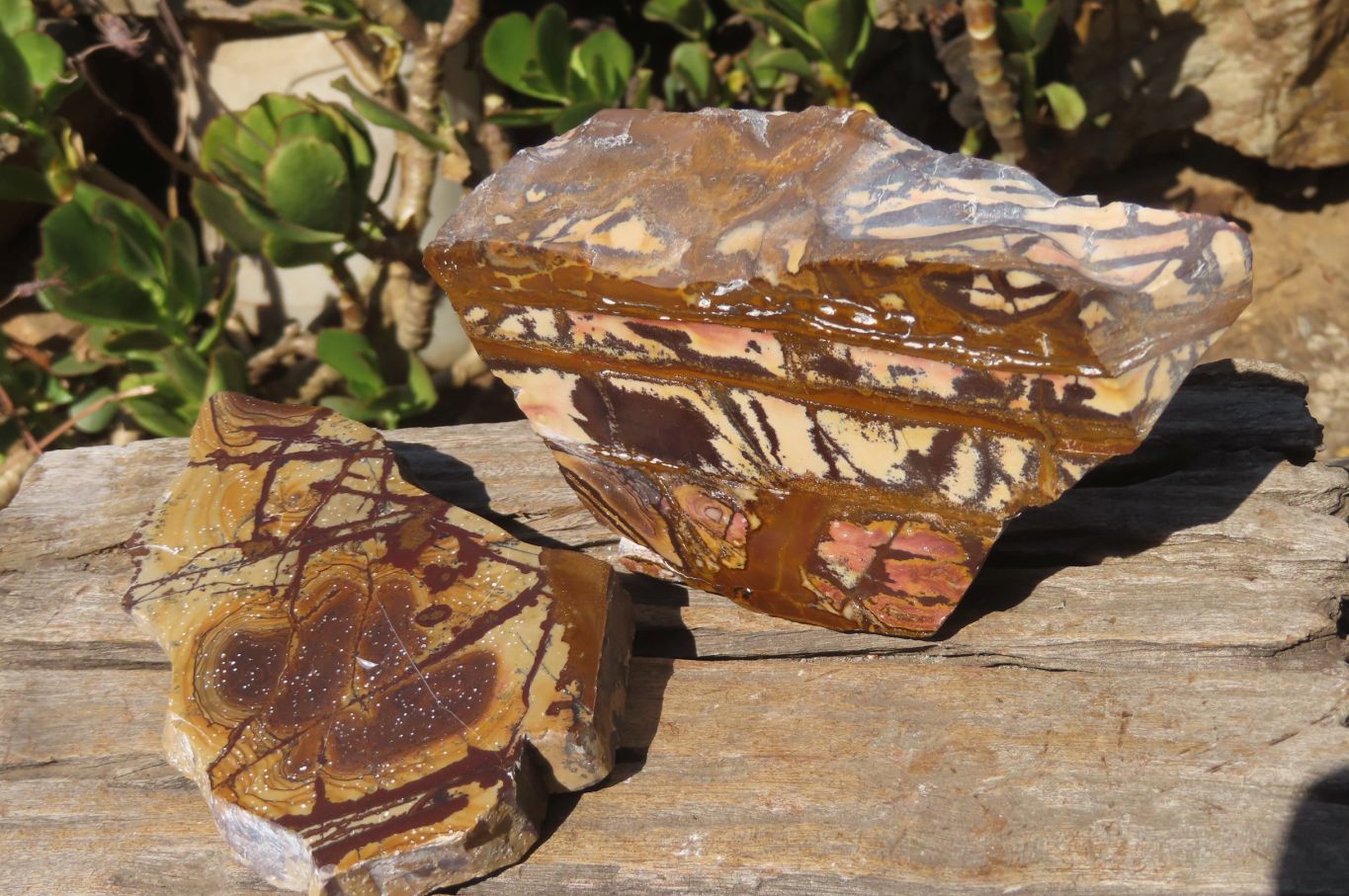Polished On One Side Nguni Jasper Specimens x 2 From Prieska, South Africa - Toprock Gemstones and Minerals 