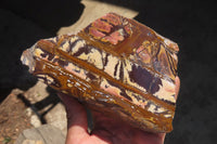 Polished On One Side Nguni Jasper Specimens x 2 From Prieska, South Africa - Toprock Gemstones and Minerals 
