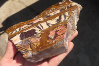 Polished On One Side Nguni Jasper Specimens x 2 From Prieska, South Africa - Toprock Gemstones and Minerals 