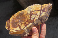 Polished On One Side Nguni Jasper Specimens x 2 From Prieska, South Africa - Toprock Gemstones and Minerals 
