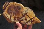 Polished On One Side Nguni Jasper Specimens x 2 From Prieska, South Africa - Toprock Gemstones and Minerals 