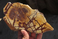 Polished On One Side Nguni Jasper Specimens x 2 From Prieska, South Africa - Toprock Gemstones and Minerals 