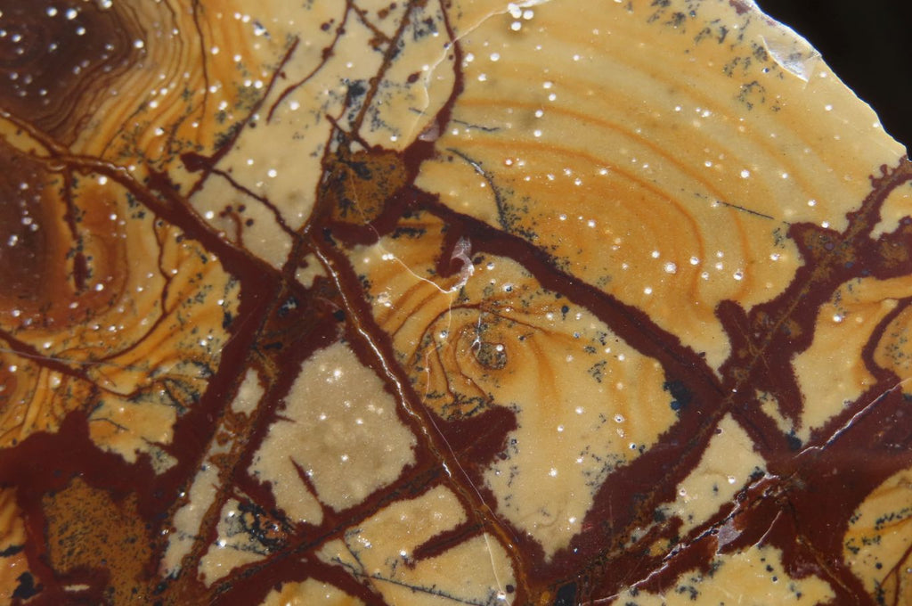 Polished On One Side Nguni Jasper Specimens x 2 From Prieska, South Africa - Toprock Gemstones and Minerals 