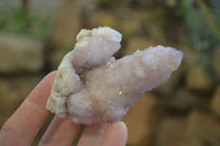 Natural Ametrine Spirit Quartz Clusters x 6 From Boekenhouthoek, South Africa