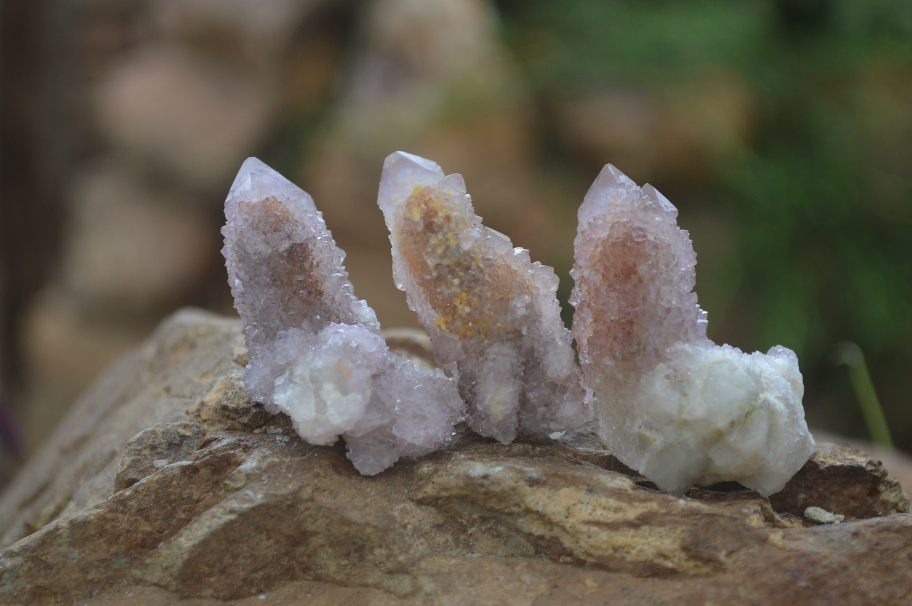 Natural Ametrine Spirit Quartz Crystals x 35 From Boekenhouthoek, South Africa - Toprock Gemstones and Minerals 