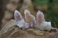 Natural Ametrine Spirit Quartz Crystals x 35 From Boekenhouthoek, South Africa