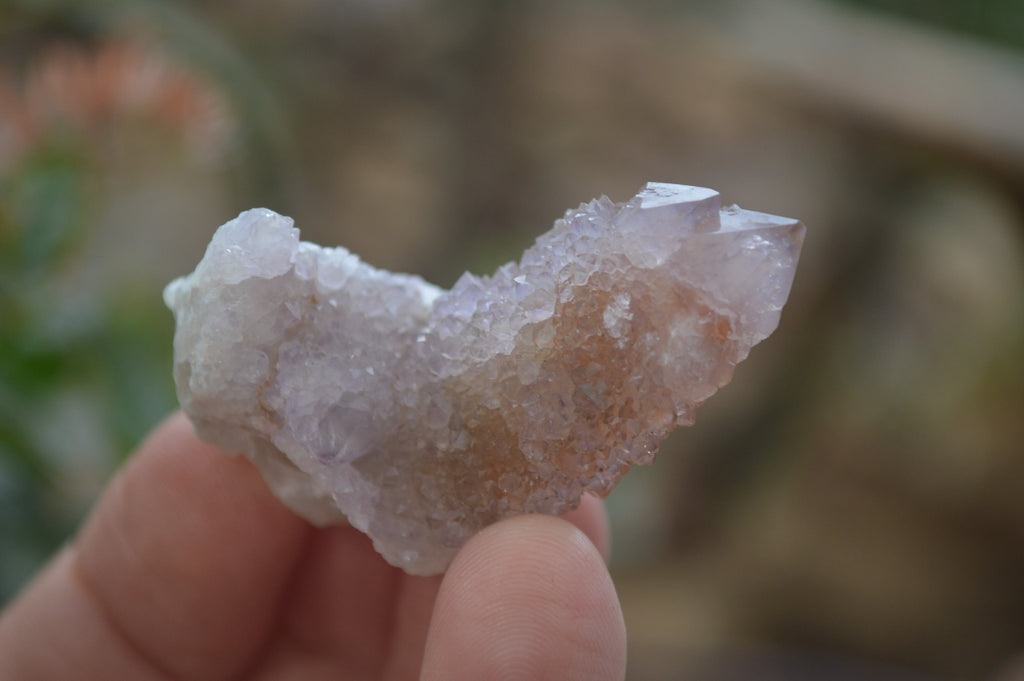 Natural Ametrine Spirit Quartz Crystals x 35 From Boekenhouthoek, South Africa - Toprock Gemstones and Minerals 