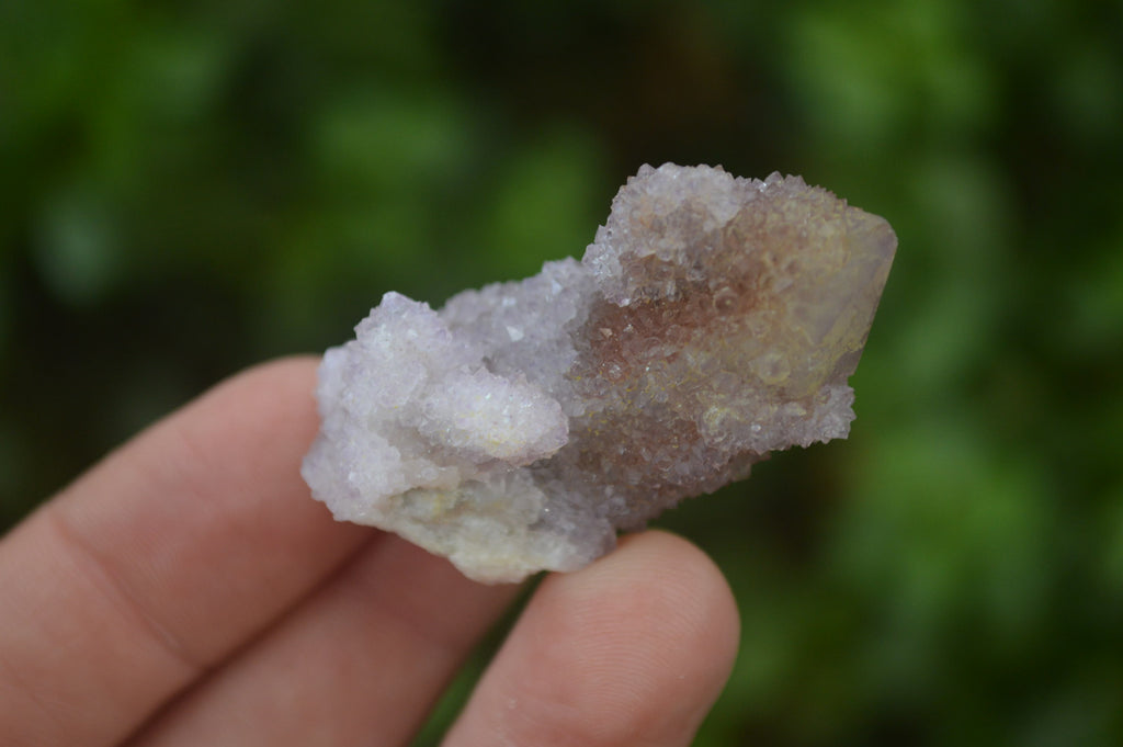 Natural Ametrine Spirit Quartz Crystals x 35 From Boekenhouthoek, South Africa - Toprock Gemstones and Minerals 