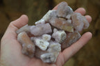 Natural Ametrine Spirit Quartz Crystals x 35 From Boekenhouthoek, South Africa - Toprock Gemstones and Minerals 