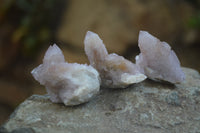 Natural Ametrine Spirit Quartz Crystals x 35 From Boekenhouthoek, South Africa