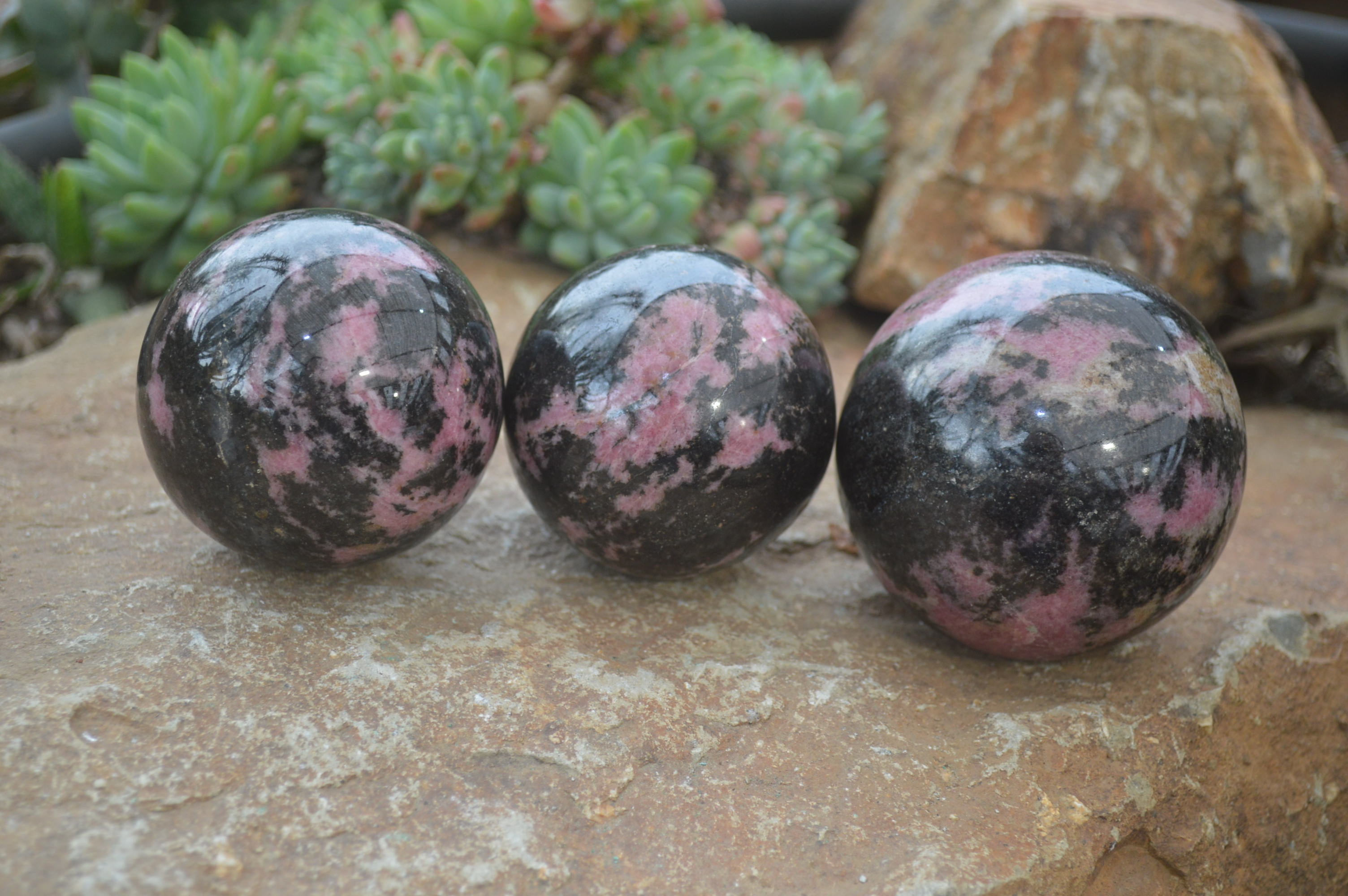 Polished Rhodonite Sphere-Balls x 3 From Ambindavato, Madagascar - Toprock Gemstones and Minerals 