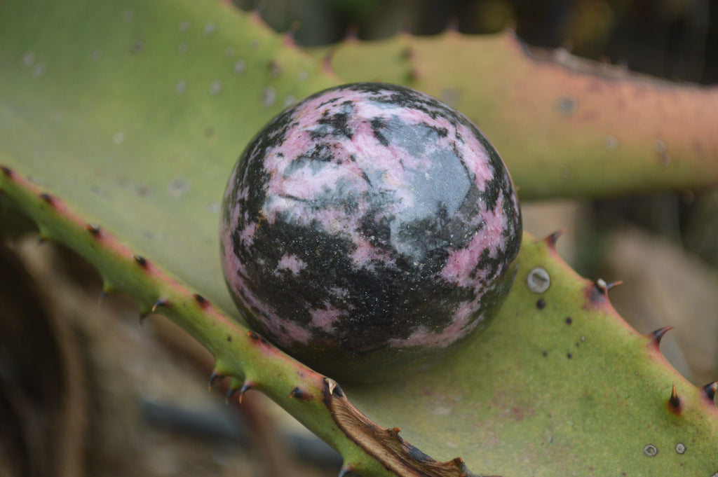 Polished Rhodonite Sphere-Balls x 3 From Ambindavato, Madagascar - Toprock Gemstones and Minerals 