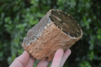 Polished Petrified Wood Branch Pieces x 3 From Gokwe, Zimbabwe - Toprock Gemstones and Minerals 
