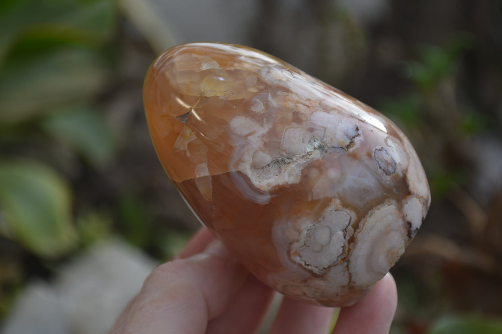 Polished Flower Agate Standing Free Forms x 4 From Madagascar - Toprock Gemstones and Minerals 