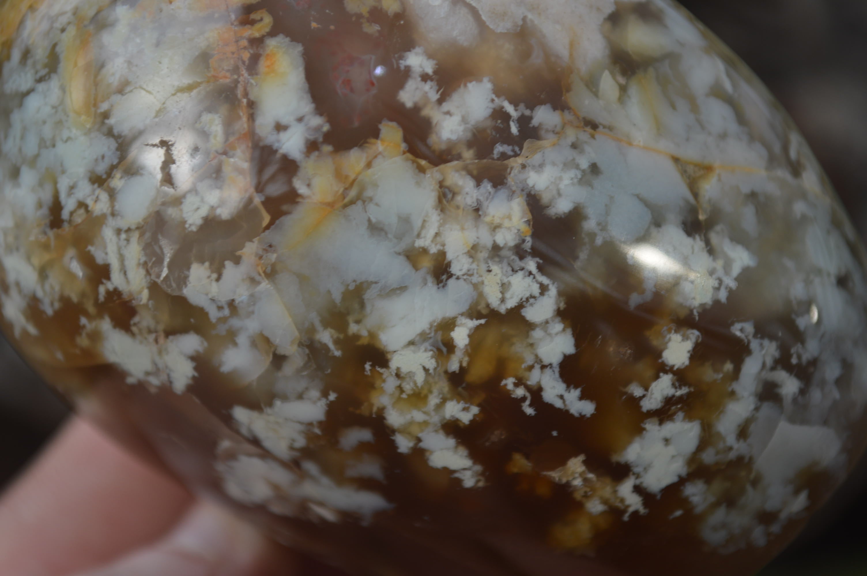 Polished Flower Agate Standing Free Forms x 4 From Madagascar - Toprock Gemstones and Minerals 