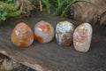 Polished Flower Agate Standing Free Forms x 4 From Madagascar - Toprock Gemstones and Minerals 