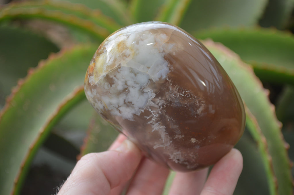 Polished Flower Agate Standing Free Forms x 4 From Madagascar - Toprock Gemstones and Minerals 