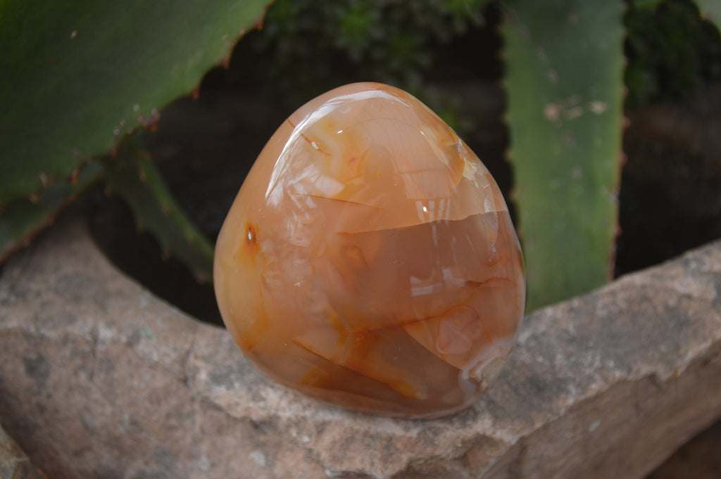 Polished Flower Agate Standing Free Forms x 4 From Madagascar - Toprock Gemstones and Minerals 
