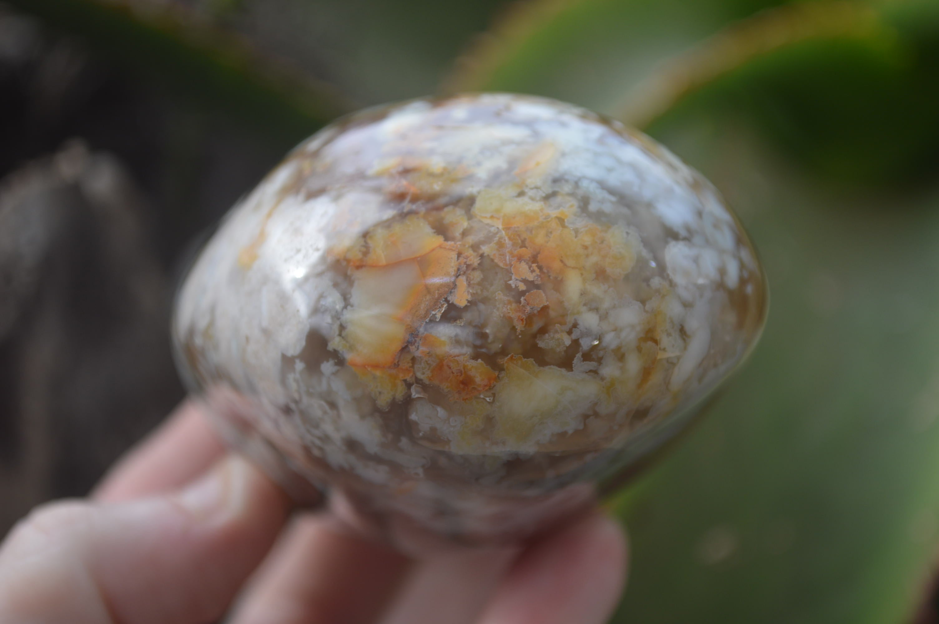 Polished Flower Agate Standing Free Forms x 4 From Madagascar - Toprock Gemstones and Minerals 
