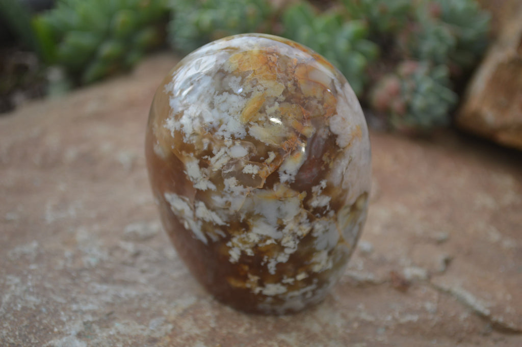 Polished Flower Agate Standing Free Forms x 4 From Madagascar - Toprock Gemstones and Minerals 
