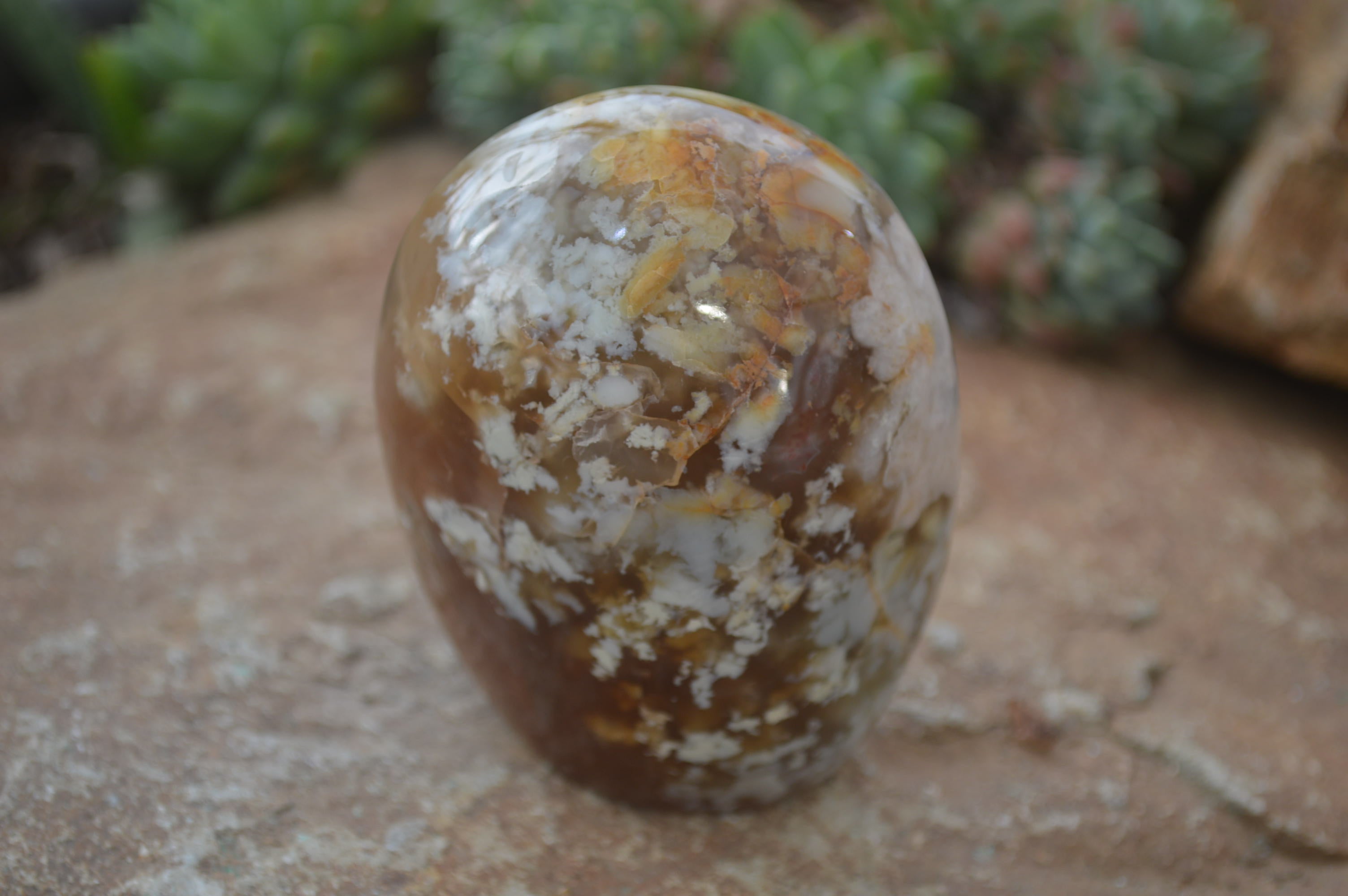 Polished Flower Agate Standing Free Forms x 4 From Madagascar - Toprock Gemstones and Minerals 