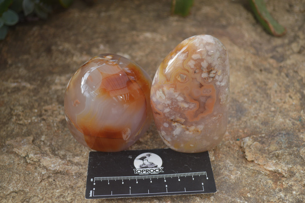 Polished Flower Agate Standing Free Forms x 4 From Madagascar - Toprock Gemstones and Minerals 