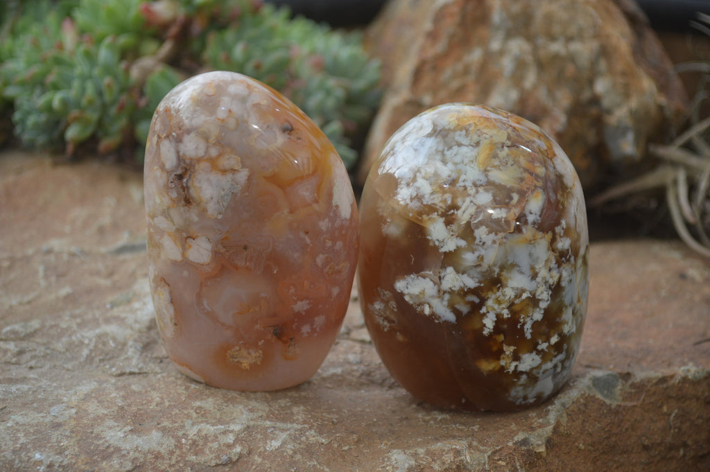 Polished Flower Agate Standing Free Forms x 4 From Madagascar - Toprock Gemstones and Minerals 