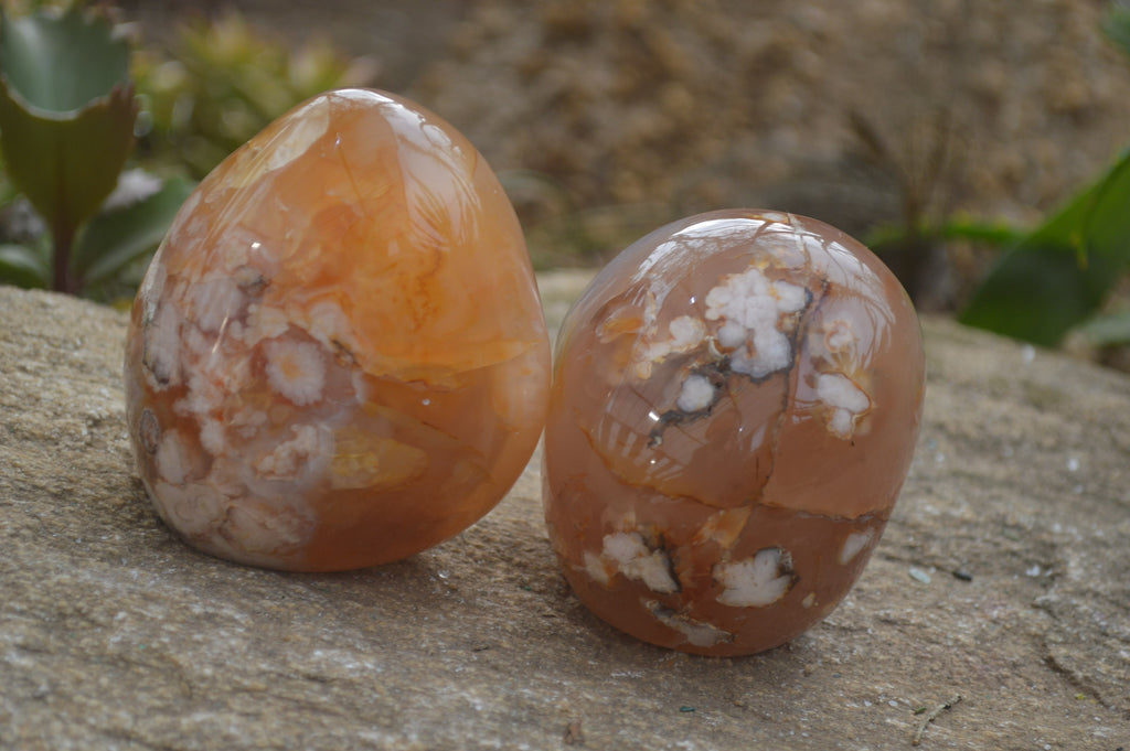 Polished Flower Agate Standing Free Forms x 4 From Madagascar - Toprock Gemstones and Minerals 
