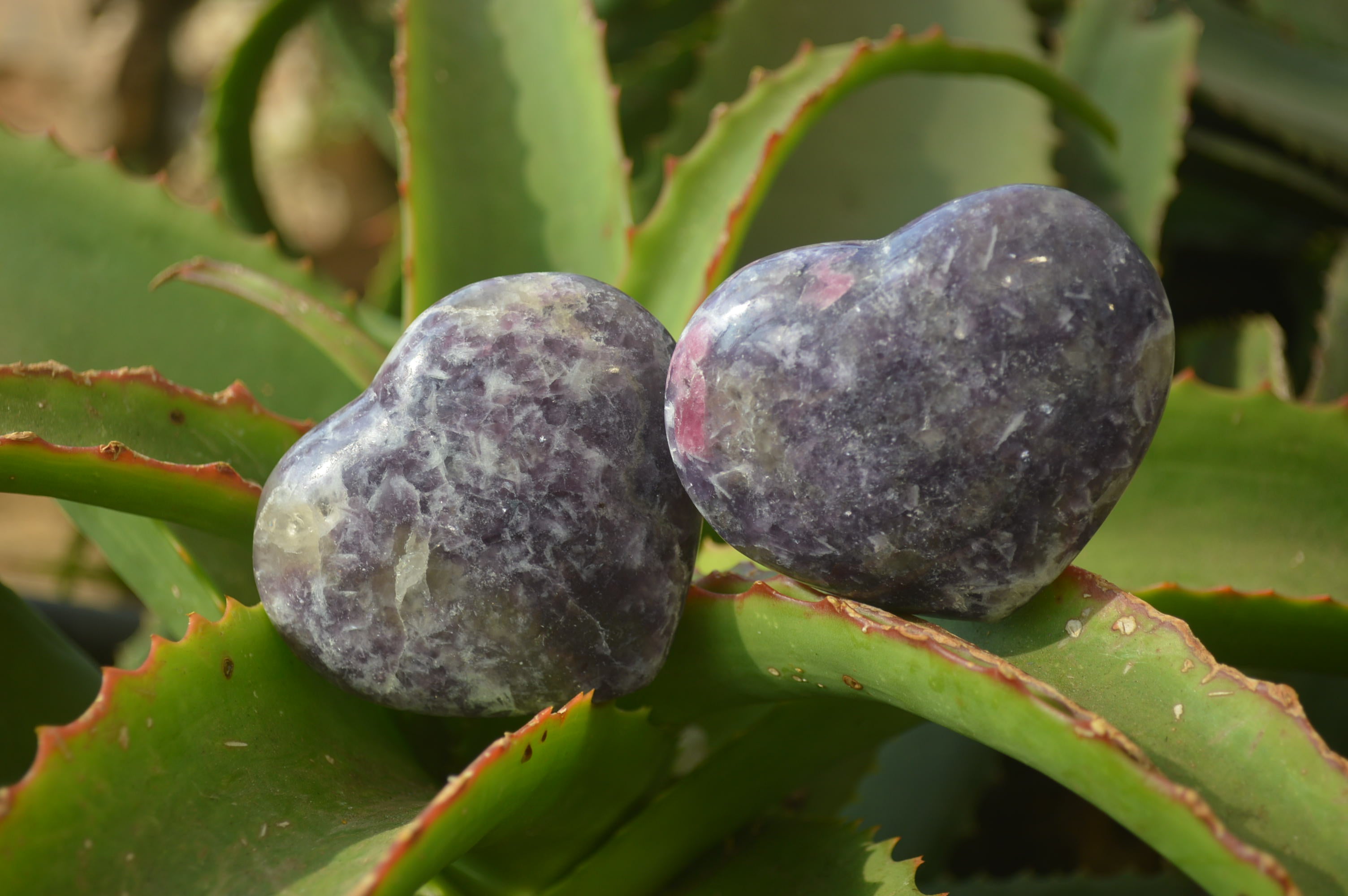 Polished Lepidolite Gemstone Hearts x 6 From Madagascar - Toprock Gemstones and Minerals 