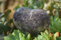 Polished Lepidolite Gemstone Hearts x 6 From Madagascar