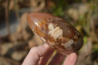 Polished Flower Agate Standing Free Forms x 3 From Madagascar - Toprock Gemstones and Minerals 