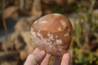 Polished Flower Agate Standing Free Forms x 3 From Madagascar - Toprock Gemstones and Minerals 