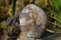 Polished Flower Agate Standing Free Forms x 3 From Madagascar - Toprock Gemstones and Minerals 