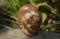 Polished Flower Agate Standing Free Forms x 3 From Madagascar - Toprock Gemstones and Minerals 