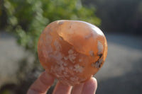 Polished Flower Agate Standing Free Forms x 3 From Madagascar - Toprock Gemstones and Minerals 