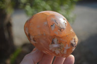 Polished Flower Agate Standing Free Forms x 3 From Madagascar - Toprock Gemstones and Minerals 