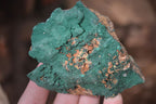 Natural Crystalline Malachite Specimens x 6 From Kasompe, Congo - Toprock Gemstones and Minerals 