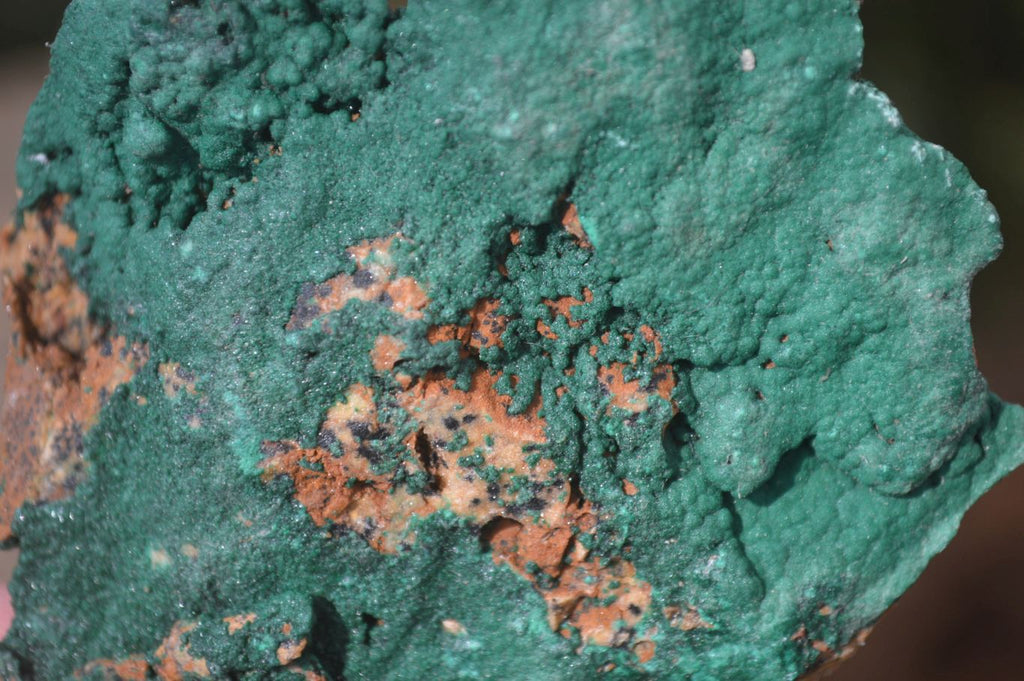 Natural Crystalline Malachite Specimens x 6 From Kasompe, Congo - Toprock Gemstones and Minerals 