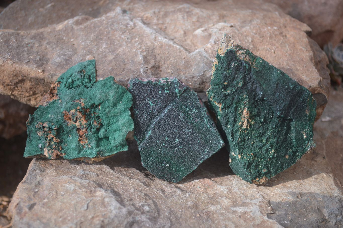 Natural Crystalline Malachite Specimens x 6 From Kasompe, Congo - Toprock Gemstones and Minerals 